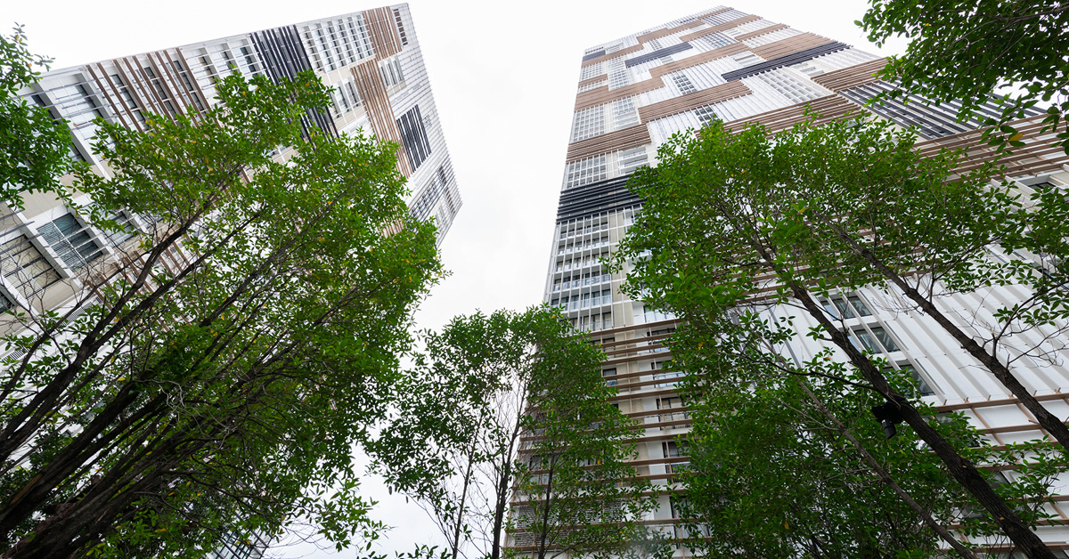 Park 24 -หลีกหนีความวุ่นวาย มาสัมผัสธรรมชาติใจกลางพร้อมพงษ์