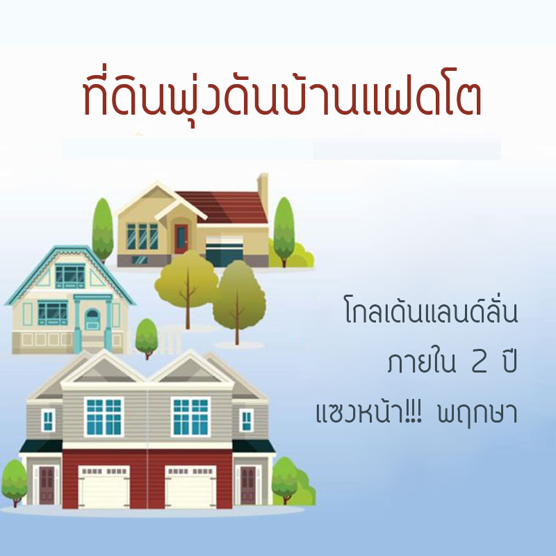 ที่ดินพุ่งดันบ้านแฝดโต โกลเด้นแลนด์ลั่นภายใน 2 ปีแซงหน้าพฤกษา