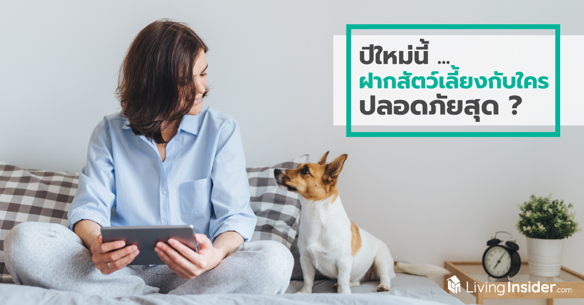 ปีใหม่นี้ ฝากสัตว์เลี้ยงกับใคร ปลอดภัยสุด ?