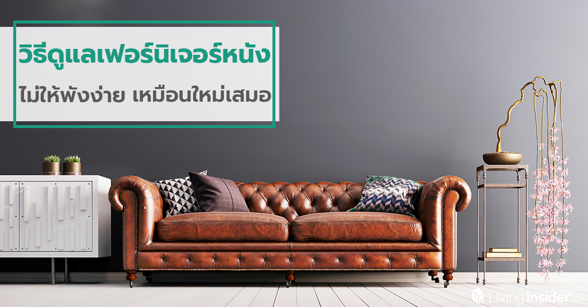 วิธีดูแลเฟอร์นิเจอร์หนัง ไม่ให้พังง่าย เหมือนใหม่เสมอ