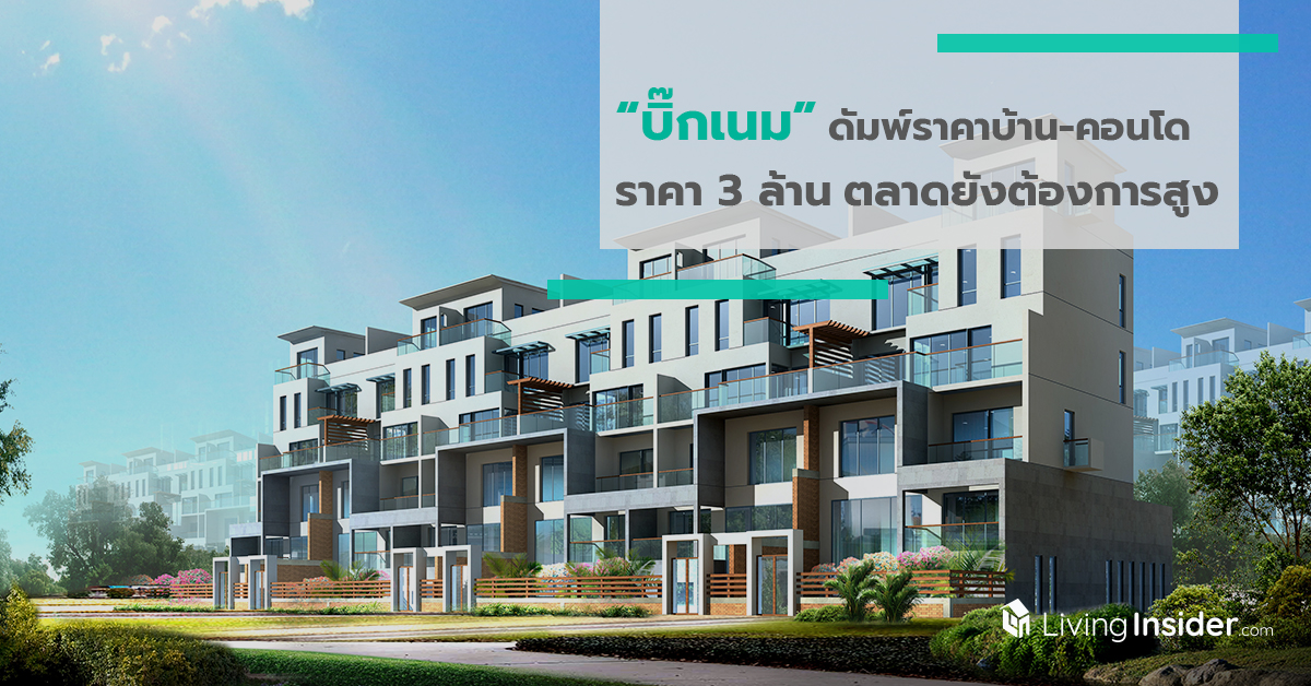 บิ๊กเนมดัมพ์ราคา