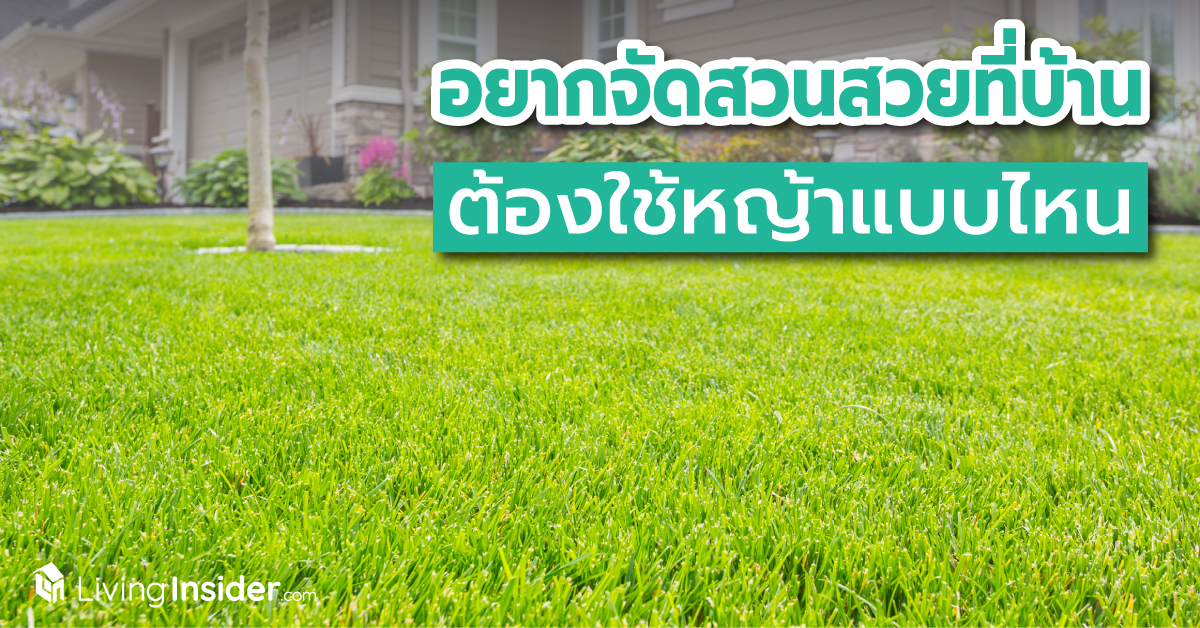 อยากจัดสวนที่บ้าน ต้องใช้หญ้าแบบไหน ? ทำความรู้จักหญ้าแต่ละชนิดก่อนตัดสินใจเลือกมาแต่งสวน