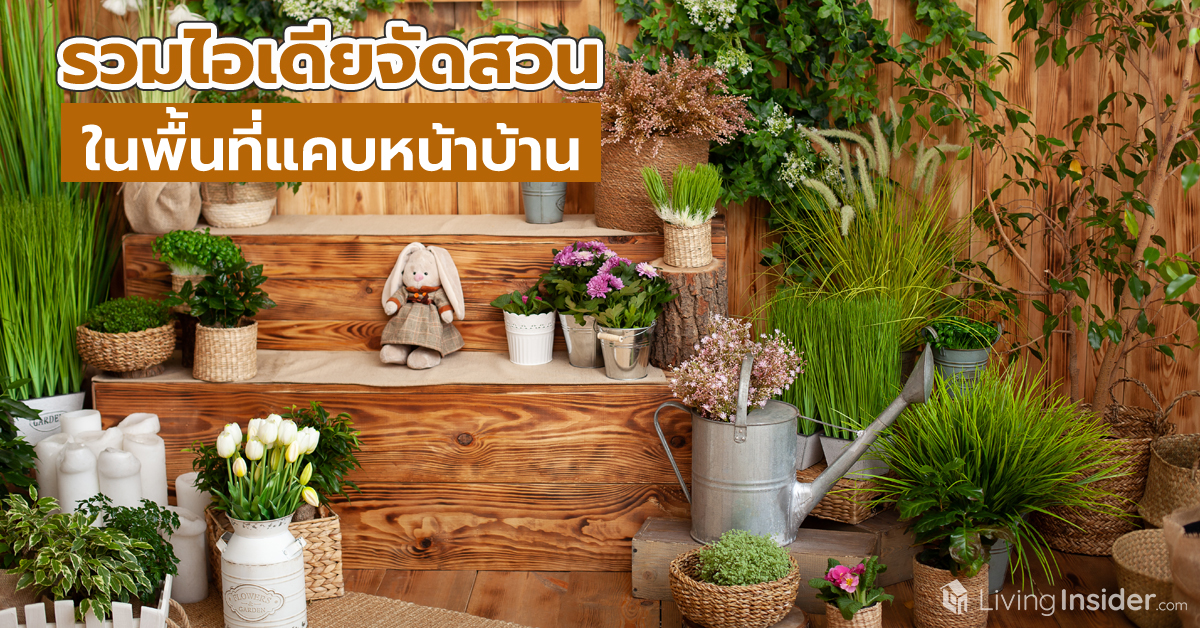 รวมไอเดียจัดสวน ในพื้นที่แคบหน้าบ้าน