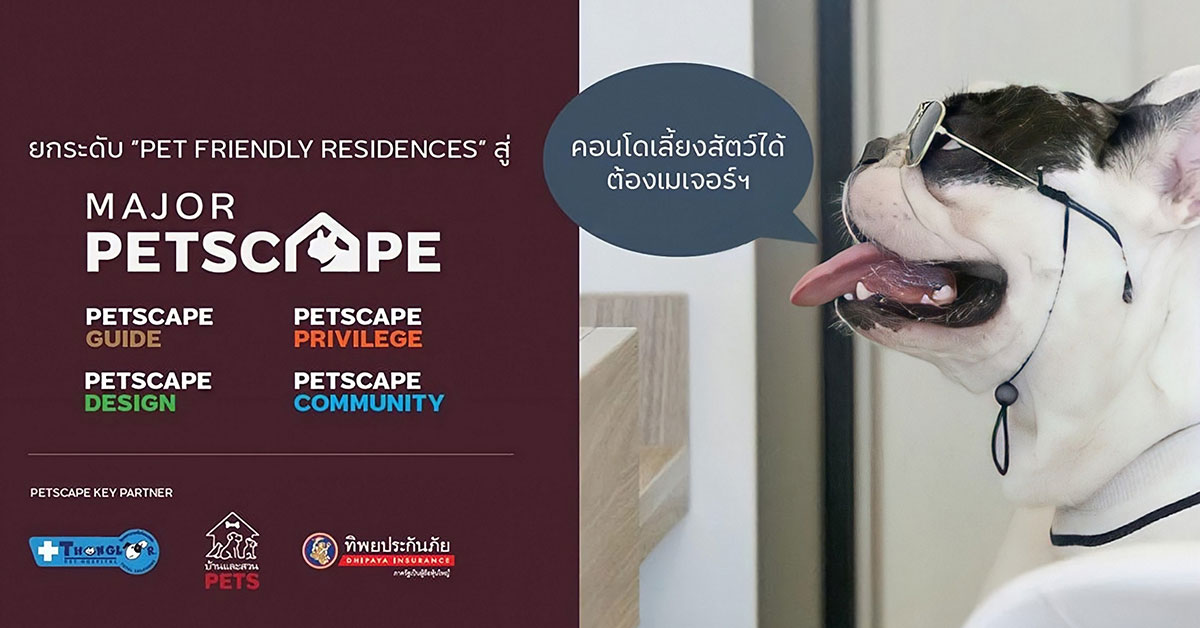เมเจอร์ ดีเวลลอปเม้นท์ สร้างนิยามใหม่ให้คอนโดเลี้ยงสัตว์ได้ 