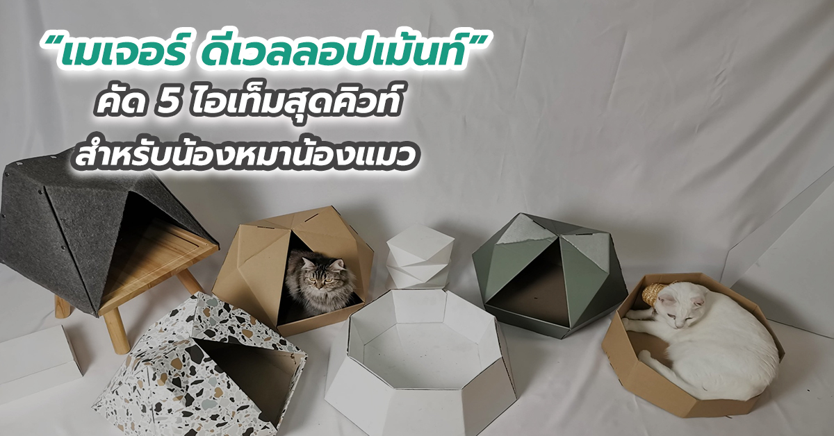 “เมเจอร์ ดีเวลลอปเม้นท์” คัด 5 ไอเท็มสุดคิวท์ สำหรับน้องหมาน้องแมว