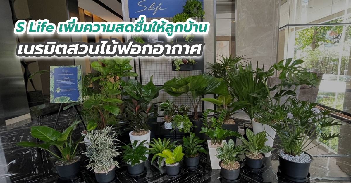 S Life เพิ่มความสดชื่นให้ลูกบ้าน เนรมิตสวนไม้ฟอกอากาศ