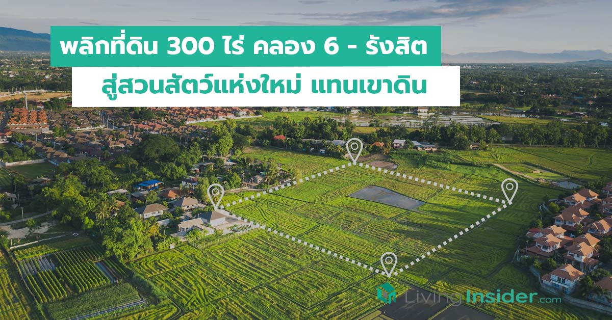 พลิกที่ดิน 300 ไร่ คลอง 6 - รังสิต สู่สวนสัตว์แห่งใหม่ แทนเขาดิน