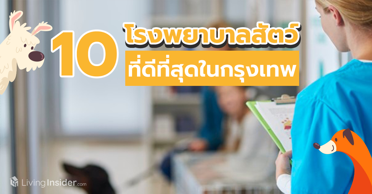 10 โรงพยาบาลสัตว์ที่ดีที่สุดในกรุงเทพ 