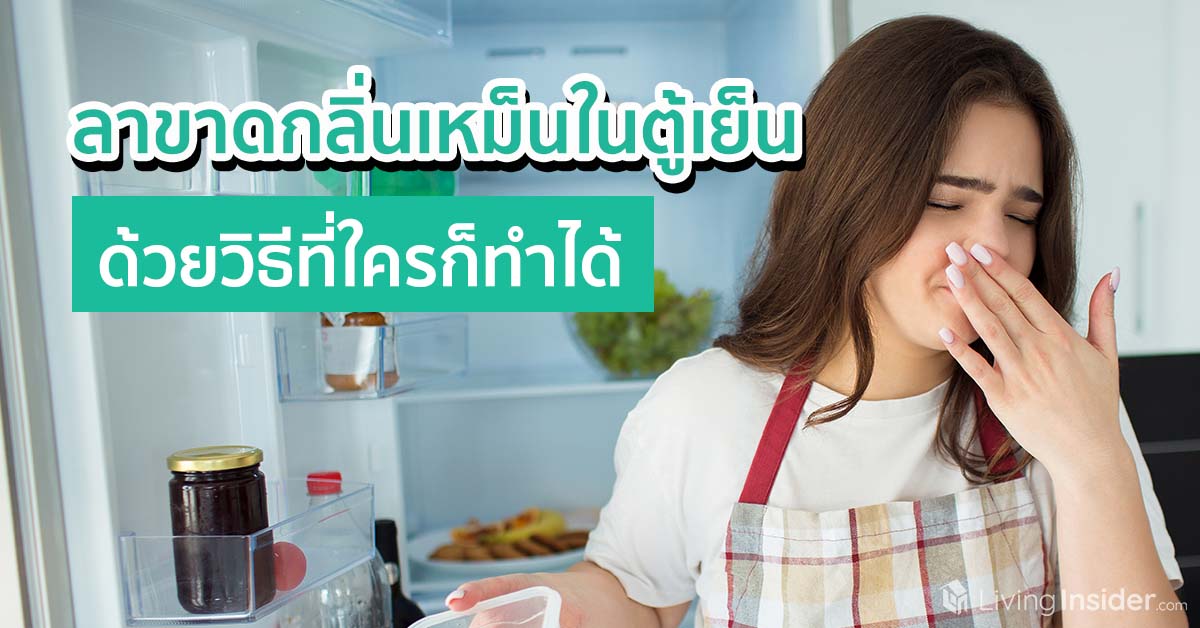 ลาขาดกลิ่นเหม็นในตู้เย็น ด้วยวิธีที่ใครก็ทำได้
