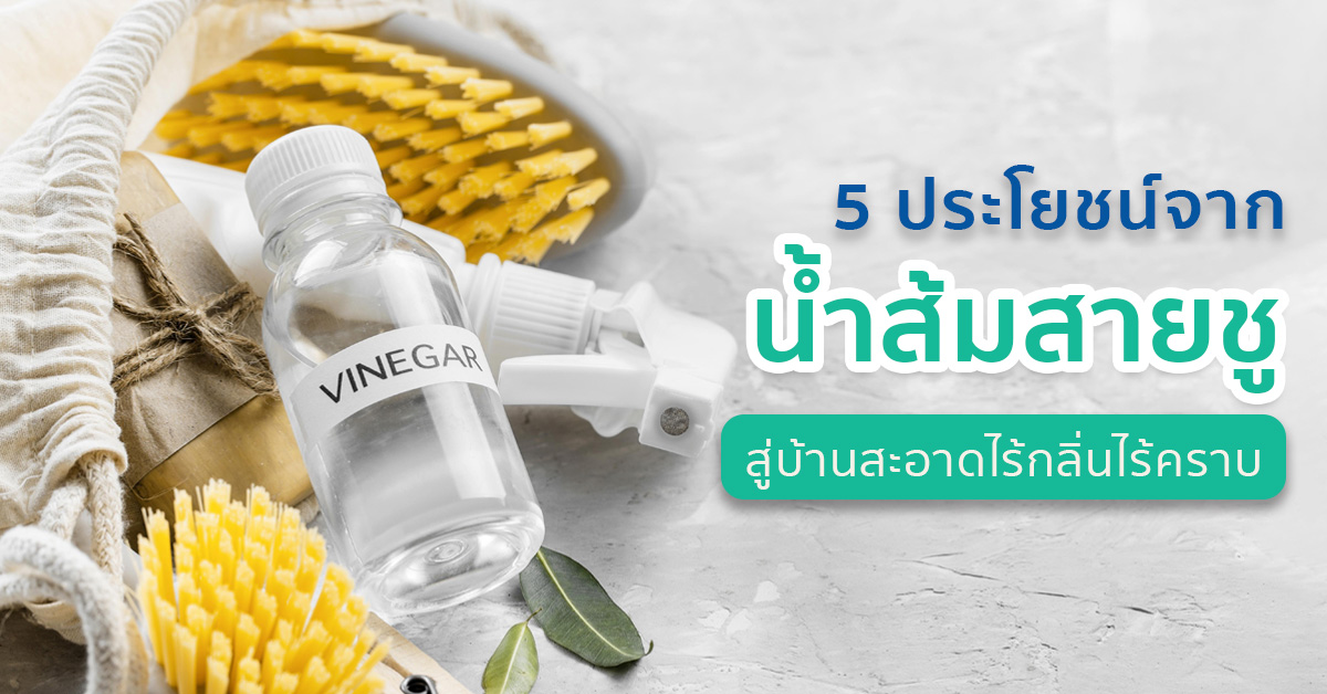 5 ประโยชน์จากน้ำส้มสายชู สู่บ้านสะอาดไร้กลิ่นไร้คราบ