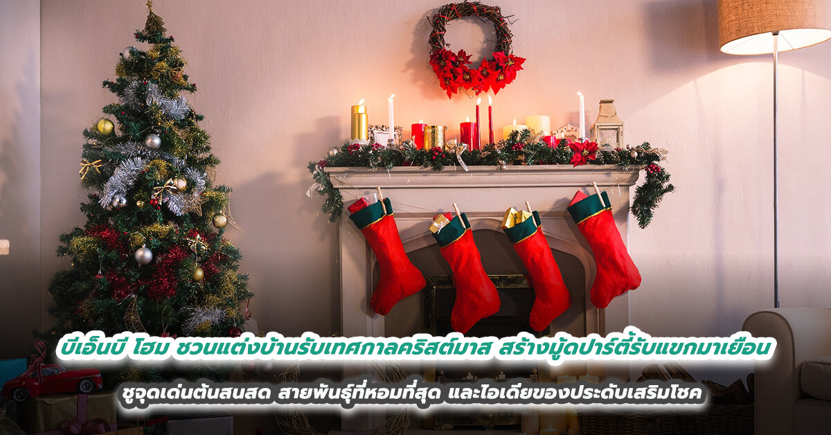 บีเอ็นบี โฮม ชวนแต่งบ้านรับเทศกาลคริสต์มาส สร้างมู้ดปาร์ตี้รับแขกมาเยือน  ชูจุดเด่นต้นสนสด สายพันธุ์ที่หอมที่สุด และไอเดียของประดับเสริมโชค