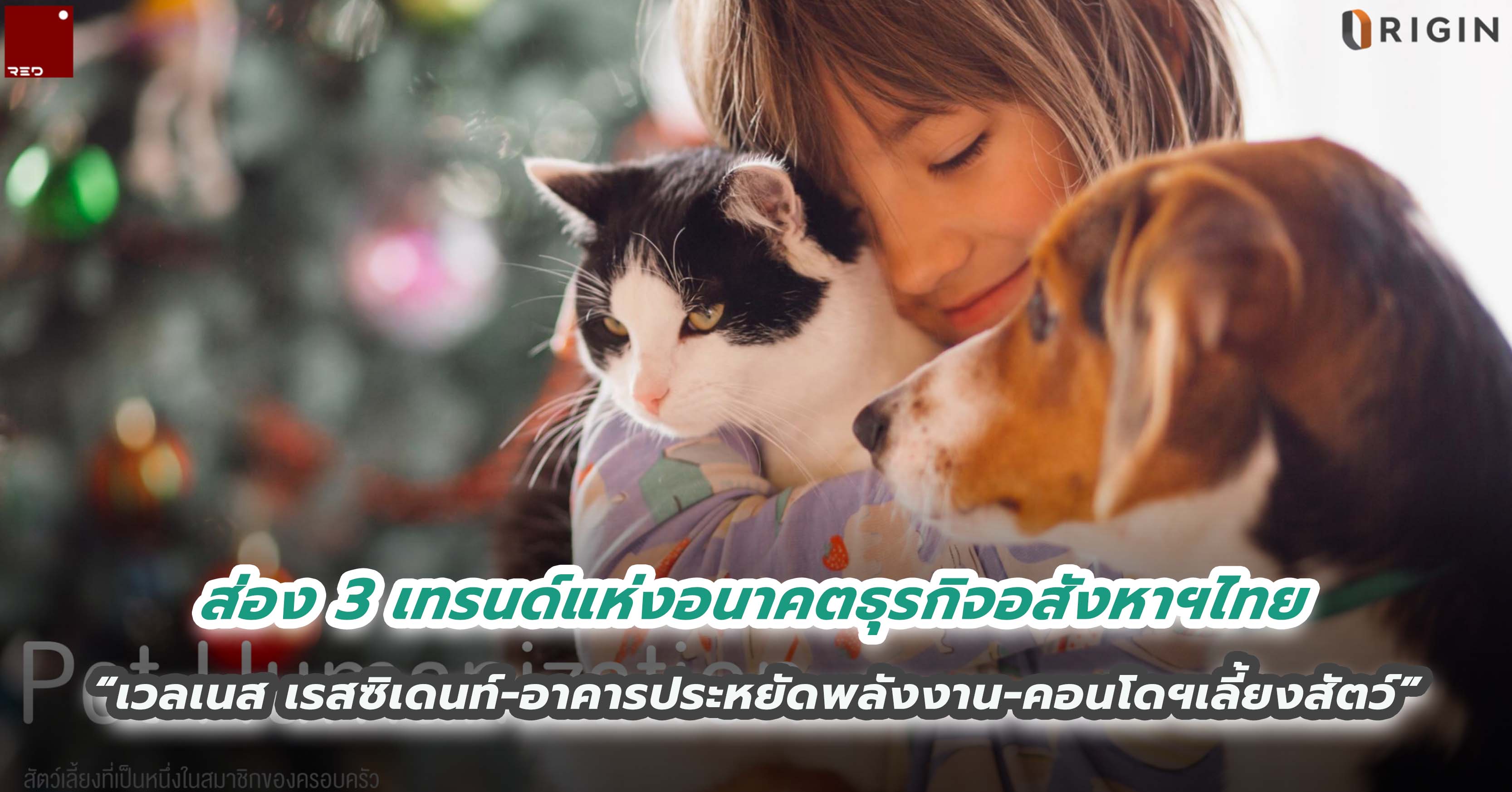  ส่อง 3 เทรนด์แห่งอนาคตธุรกิจอสังหาฯไทย “เวลเนส เรสซิเดนท์-อาคารประหยัดพลังงาน-คอนโดฯเลี้ยงสัตว์”