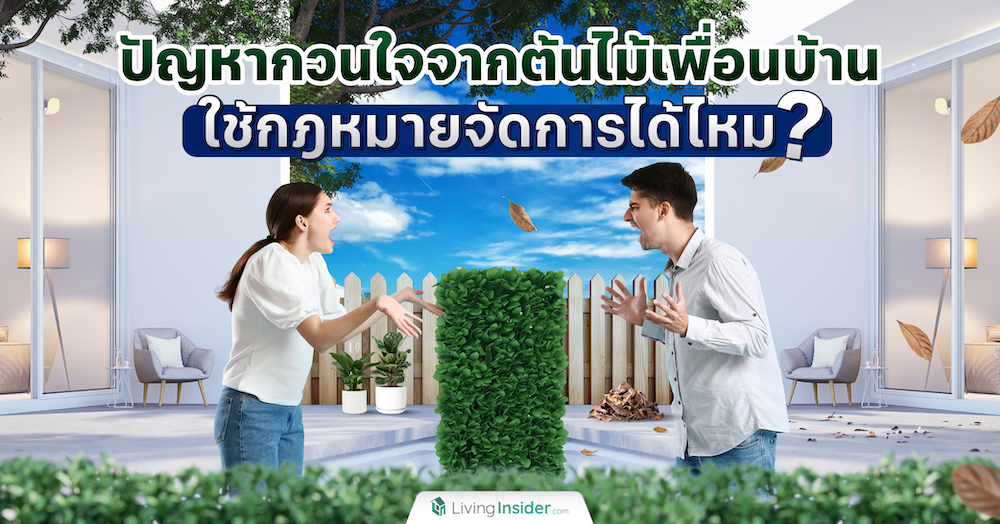 ปัญหากวนใจจากต้นไม้เพื่อนบ้าน ใช้กฎหมายจัดการได้ไหม?