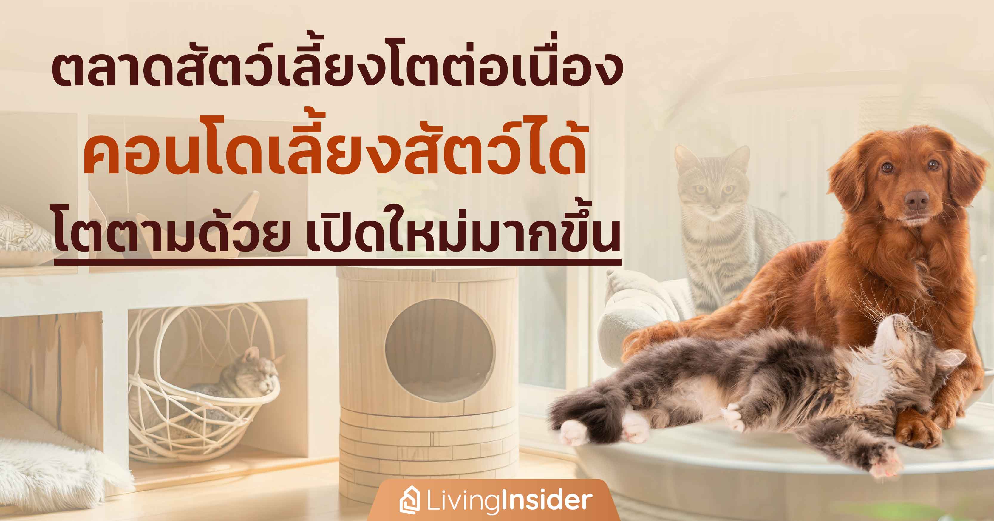 ภมร ประเสริฐสรรค์ AP เปิดแนวรบแนวราบอสังหาในเมือง