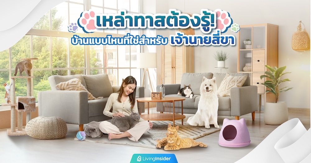 เหล่าทาสต้องรู้! บ้านแบบไหนที่ใช่สำหรับเจ้านายสี่ขา