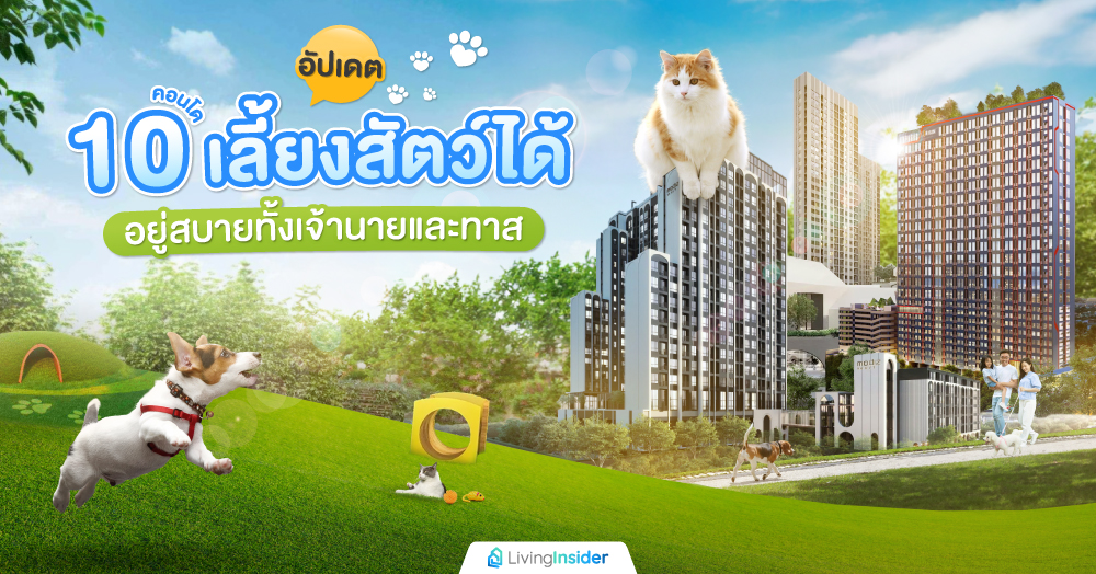 อัปเดต 10 คอนโดเลี้ยงสัตว์ได้ อยู่สบายทั้งเจ้านายและทาส