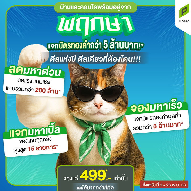 Design & Décor เปิดตัวเป็นทางการที่ภูเก็ต เจาะตลาดวิลล่าหรู สร้างนิยามใหม่ของงานออกแบบและตกแต่งภายในระดับพรีเมียม