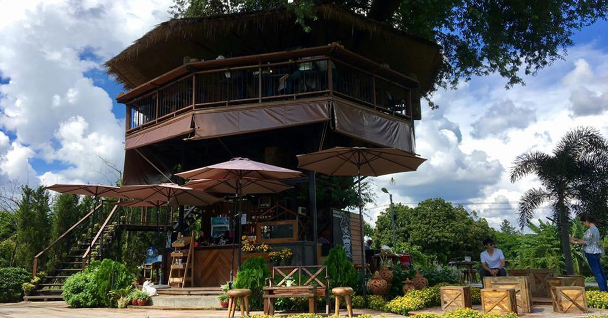 เก๊ามะขาม คอฟฟี่ เชียงใหม่ ร้านกาแฟบนต้นไม้ วิว 360 องศา