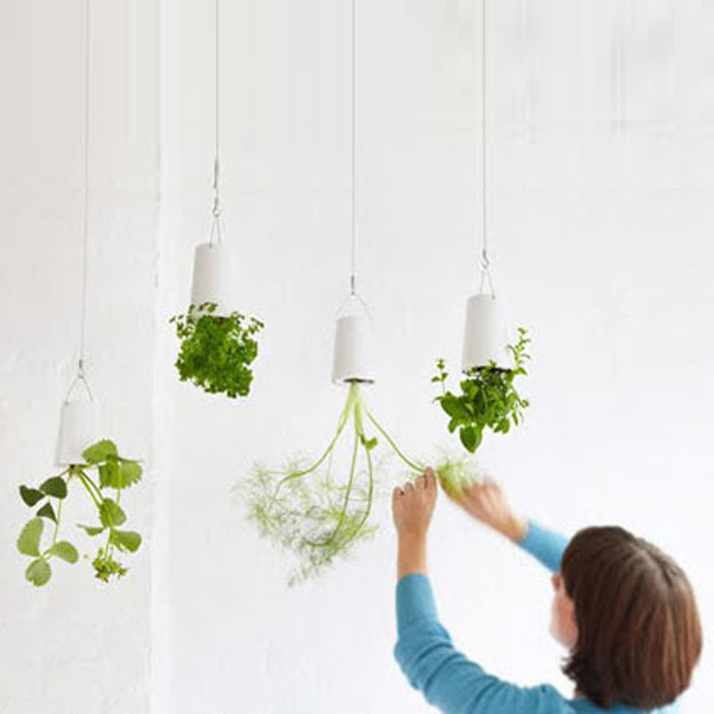 ปลูกต้นไม้แนวใหม่กับ Sky Plant ปลูกง่ายๆที่คอนโดของคุณ