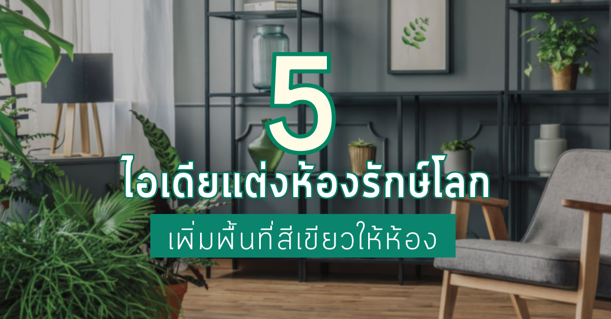 5 ไอเดียแต่งห้องรักษ์โลก เพิ่มพื้นที่สีเขียวให้ห้องคุณ