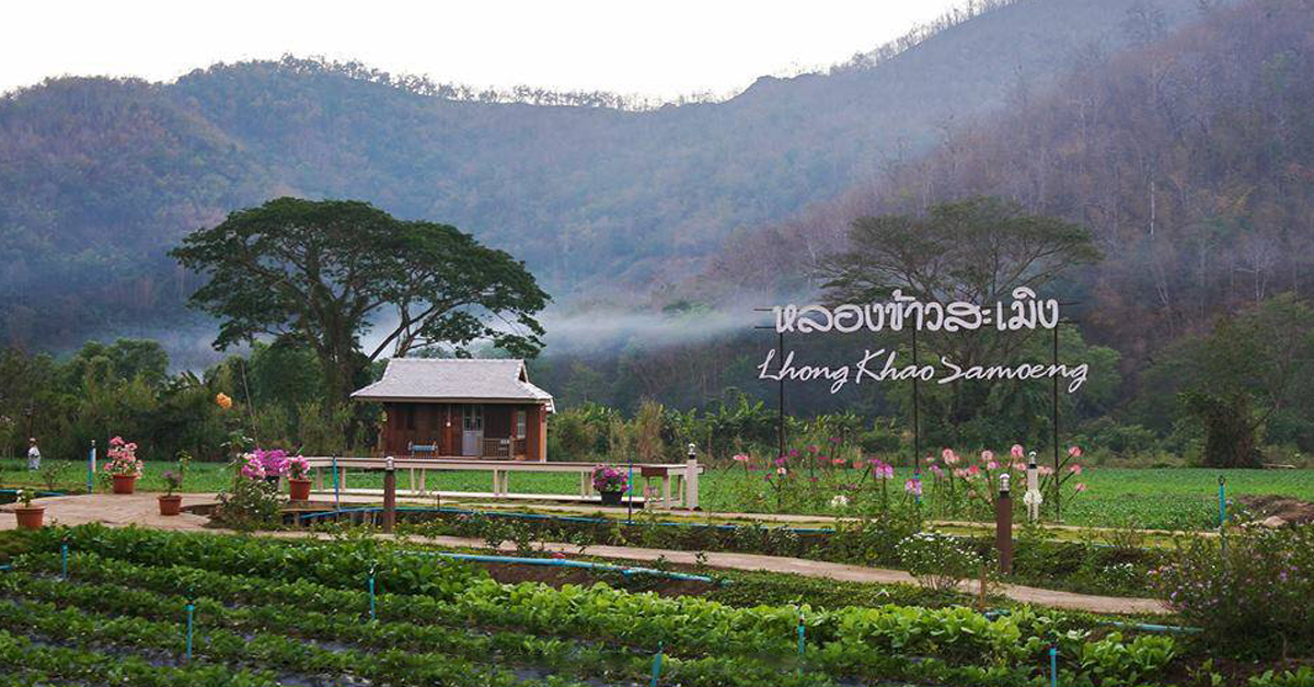 หลองข้าวสะเมิง ที่พักที่โอบล้อมด้วยทุ่งนาภูเขาเขียว