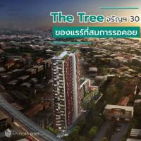 The Tree จรัญฯ 30 ทับทิมสยามแห่งจรัญสนิทวงศ์ ของ Rare ที่สมกับการรอคอย