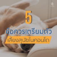 5 ข้อ เตรียมตัวก่อนเลี้ยงสุนัขในคอนโด