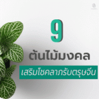 9 ต้นไม้มงคล เสริมโชคลาภรับตรุษจีน