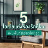 5 ไอเดียแต่งห้องรักษ์โลก เพิ่มพื้นที่สีเขียวให้ห้องคุณ