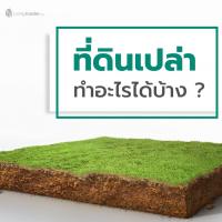 มีที่ดินเปล่า ทำอะไรได้บ้าง?