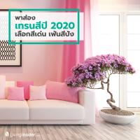 พาส่องเทรนสีแห่งปี 2020 เลือกสีเด่น เฟ้นสีปัง