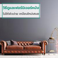 วิธีดูแลเฟอร์นิเจอร์หนัง ไม่ให้พังง่าย เหมือนใหม่เสมอ