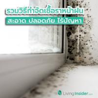 รวมวิธีกำจัดเชื้อราหน้าฝน สะอาดปลอดภัยไร้ปัญหา