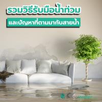 รวมวิธีรับมือน้ำท่วม และปัญหาที่ตามมาพร้อมสายน้ำ