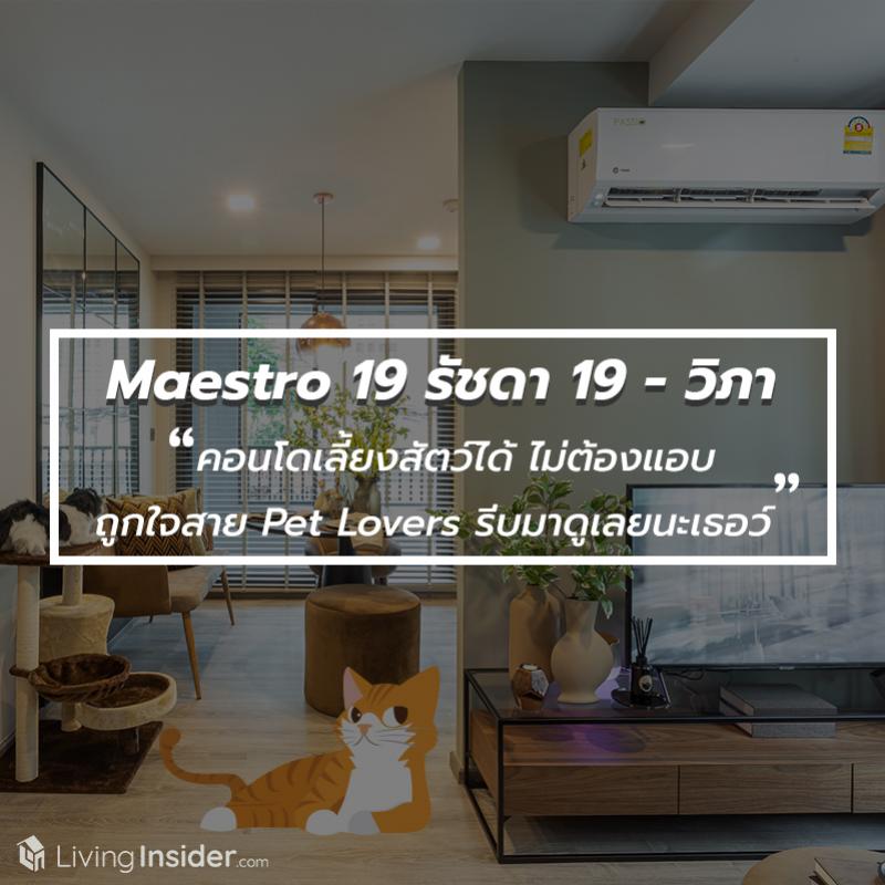 Maestro 19 รัชดา 19 - วิภา - คอนโดเลี้ยงสัตว์ได้ ไม่ต้องแอบ ถูกใจสาย Pet Lovers รีบมาดูเลยนะเธอว์