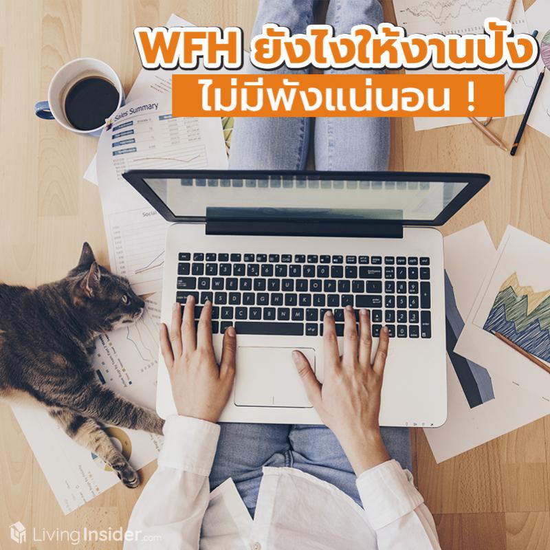 WFH ยังไงให้งานปัง ไม่มีพังแน่นอน ! รวมไอเดียเพิ่มประสิทธิภาพการทำงานช่วง Work from home ให้ออกมาดีจนหัวหน้าต้องชม