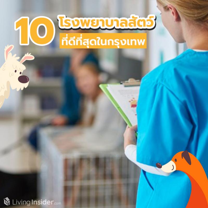 10 โรงพยาบาลสัตว์ที่ดีที่สุดในกรุงเทพ 