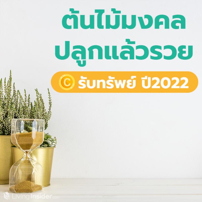 ต้นไม้มงคล ปลูกแล้วรวย รับทรัพย์ปี2022
