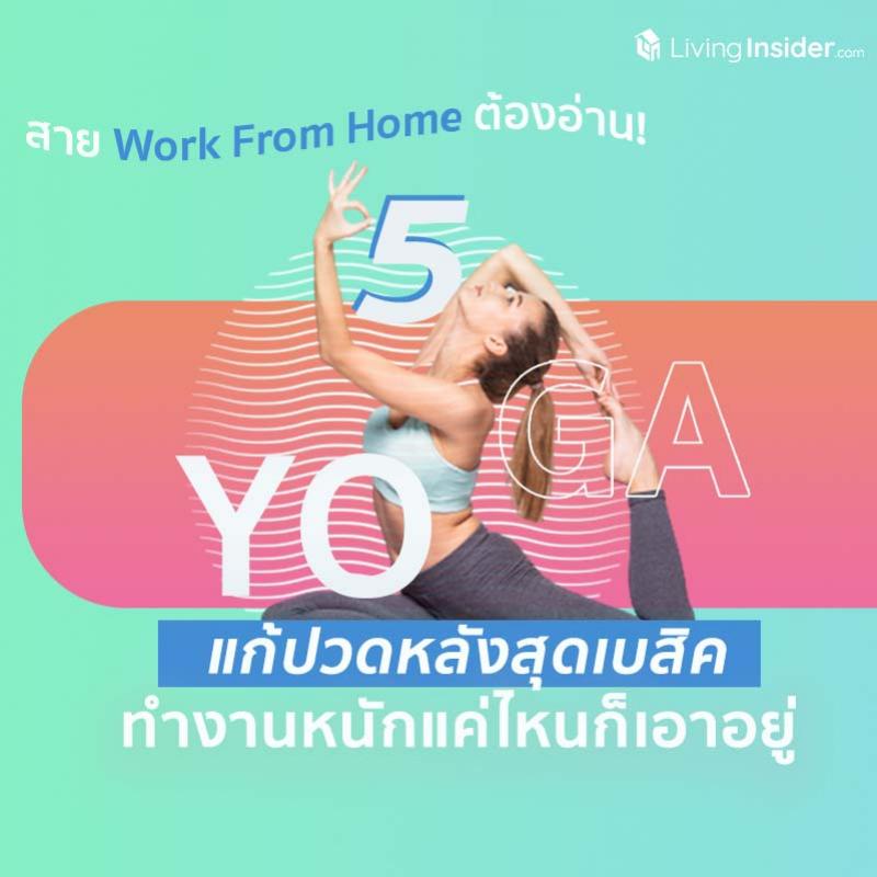 สาย Work From Home ต้องอ่าน! รวม 5 ท่าโยคะ แก้ปวดหลังสุดเบสิคทำงานหนักแค่ไหนก็เอาอยู่ 