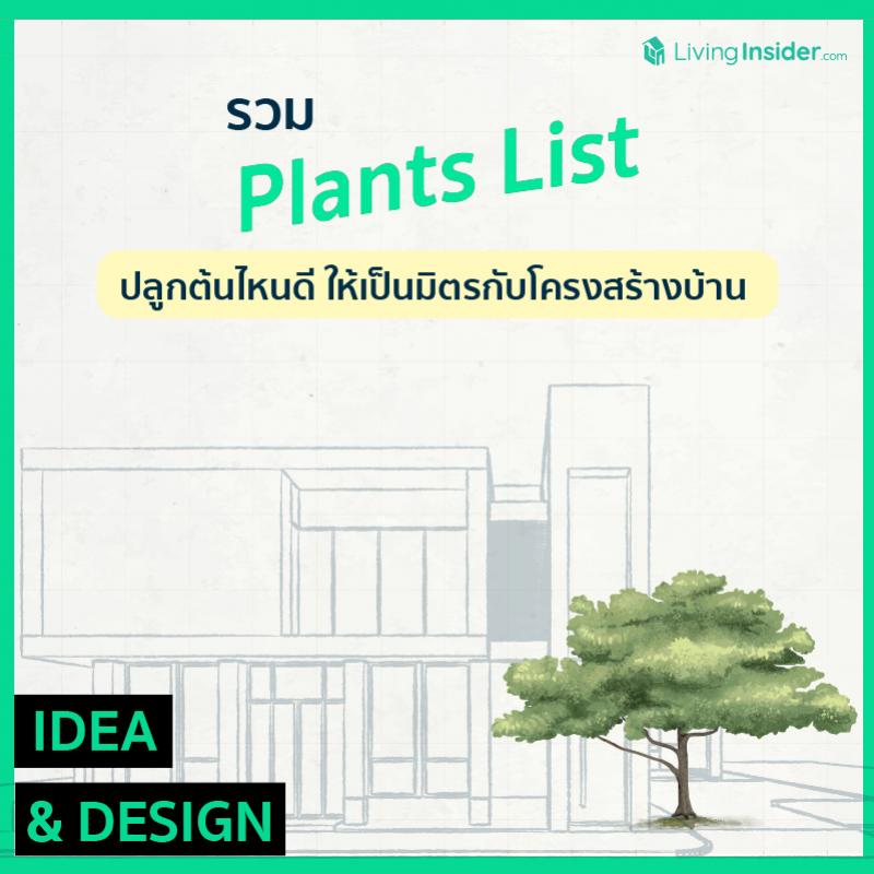 รวม Plants List ปลูกต้นไหนดี ให้เป็นมิตรกับโครงสร้างบ้าน 