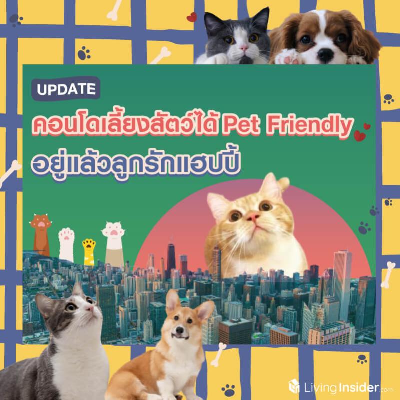 UPDATE! คอนโดเลี้ยงสัตว์ได้ Pet Friendly ที่อยู่แล้วลูกรักแฮปปี้ 