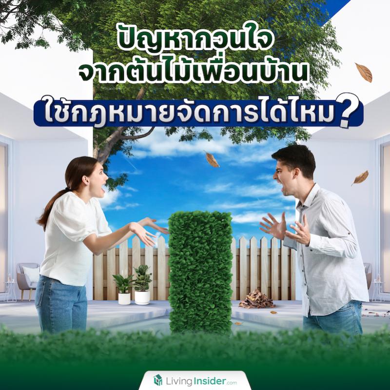 ปัญหากวนใจจากต้นไม้เพื่อนบ้าน ใช้กฎหมายจัดการได้ไหม?