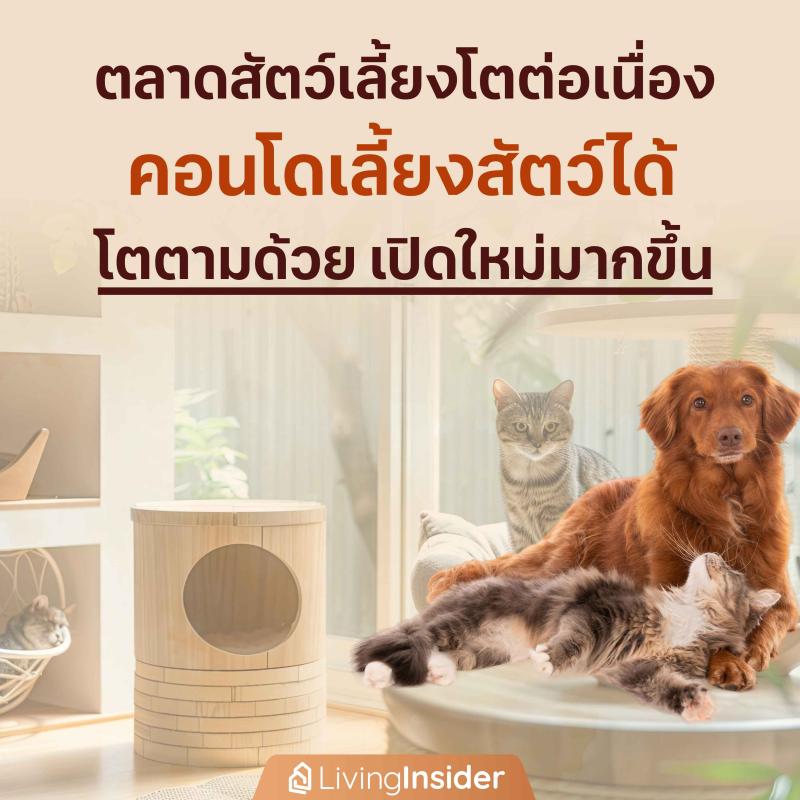 ตลาดสัตว์เลี้ยงโตต่อเนื่อง 