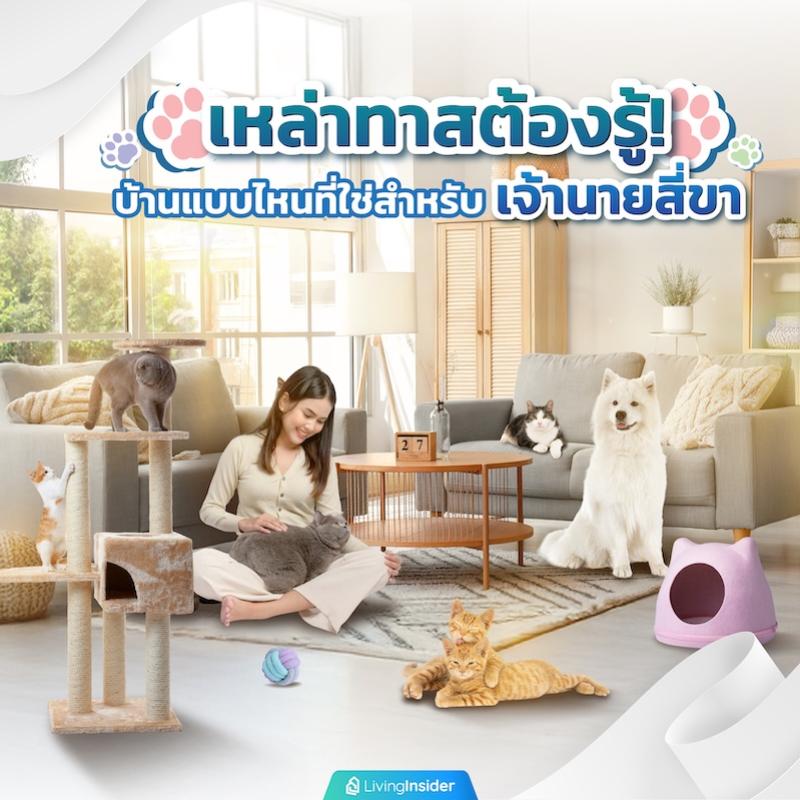 เหล่าทาสต้องรู้! บ้านแบบไหนที่ใช่สำหรับเจ้านายสี่ขา
