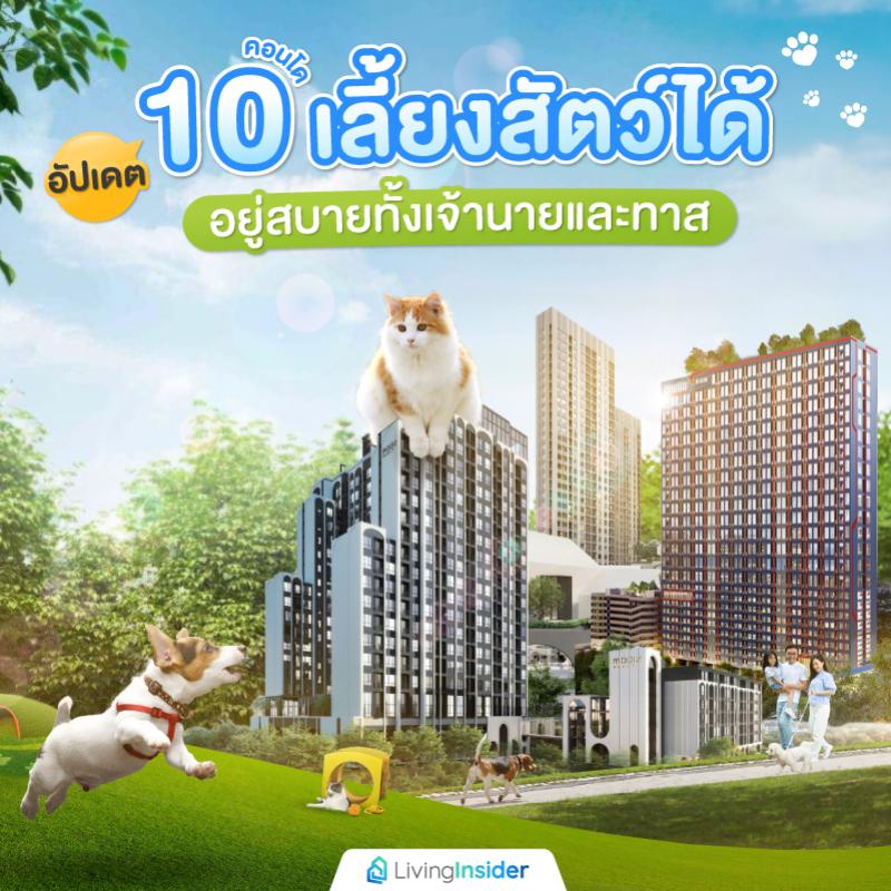อัปเดต 10 คอนโดเลี้ยงสัตว์ได้ อยู่สบายทั้งเจ้านายและทาส