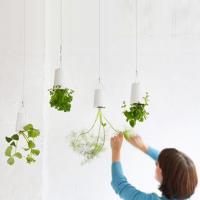 ปลูกต้นไม้แนวใหม่กับ Sky Plant ปลูกง่ายๆที่คอนโดของคุณ
