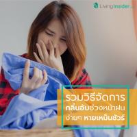 รวมวิธีจัดการกลิ่นอับในบ้านช่วงหน้าฝน ง่ายๆ หายเหม็นชัวร์