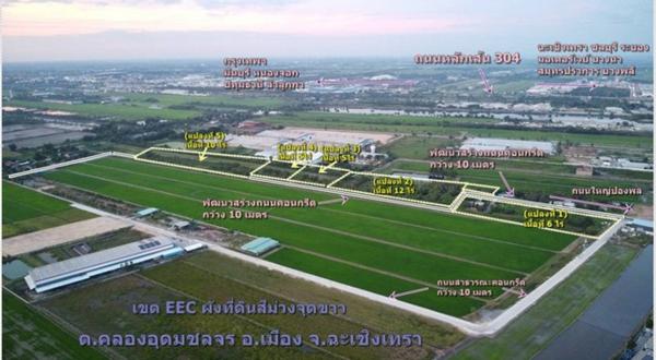 Land for sale in Chachoengsao, EEC area, purple map, white dots
