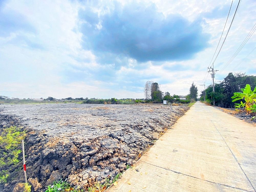 ขายที่ดินนนทบุรี บางใหญ่ บางบัวทอง : 💥💥ที่ดินแบ่งขาย ไทรน้อย-ทวีวัฒนา💥💥ต.ทวีวัฒนา อ.ไทรน้อย จ.นนทบุรี แปลงละ 150 ตร.ว. ฟรีถม ฟรีโอน น้ำไฟพร้อม ติดถนนคอนกรีต  ขายเพียง ตารางวาละ  14,000 บาท