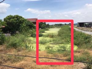 For SaleLandBangna, Bearing, Lasalle : urgent !!!!!!! Land for sale on Soi 200 years old road, beautiful location, at a special price within this month only!!!!!